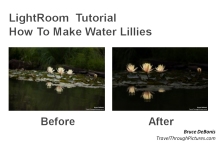 LightRoom Tutorial: Lillies