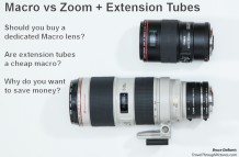 Macro Lens vs Extension Tubes