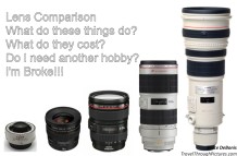Lens Comparison What Millimeters Do
